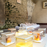 'MANGEL' 2016 - Installation (5)
